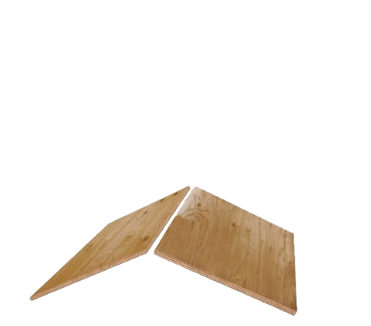 Desouza Roofing Service Images